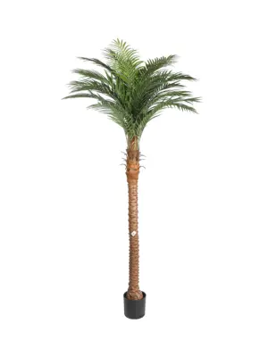 Levensechte Kunstpalm Cuba 220cm met dikke stam en volle palmkruin
