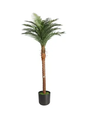 Natuurgetrouwe Cuba Kunstpalmboom met stevige stam en brede palmkruin.