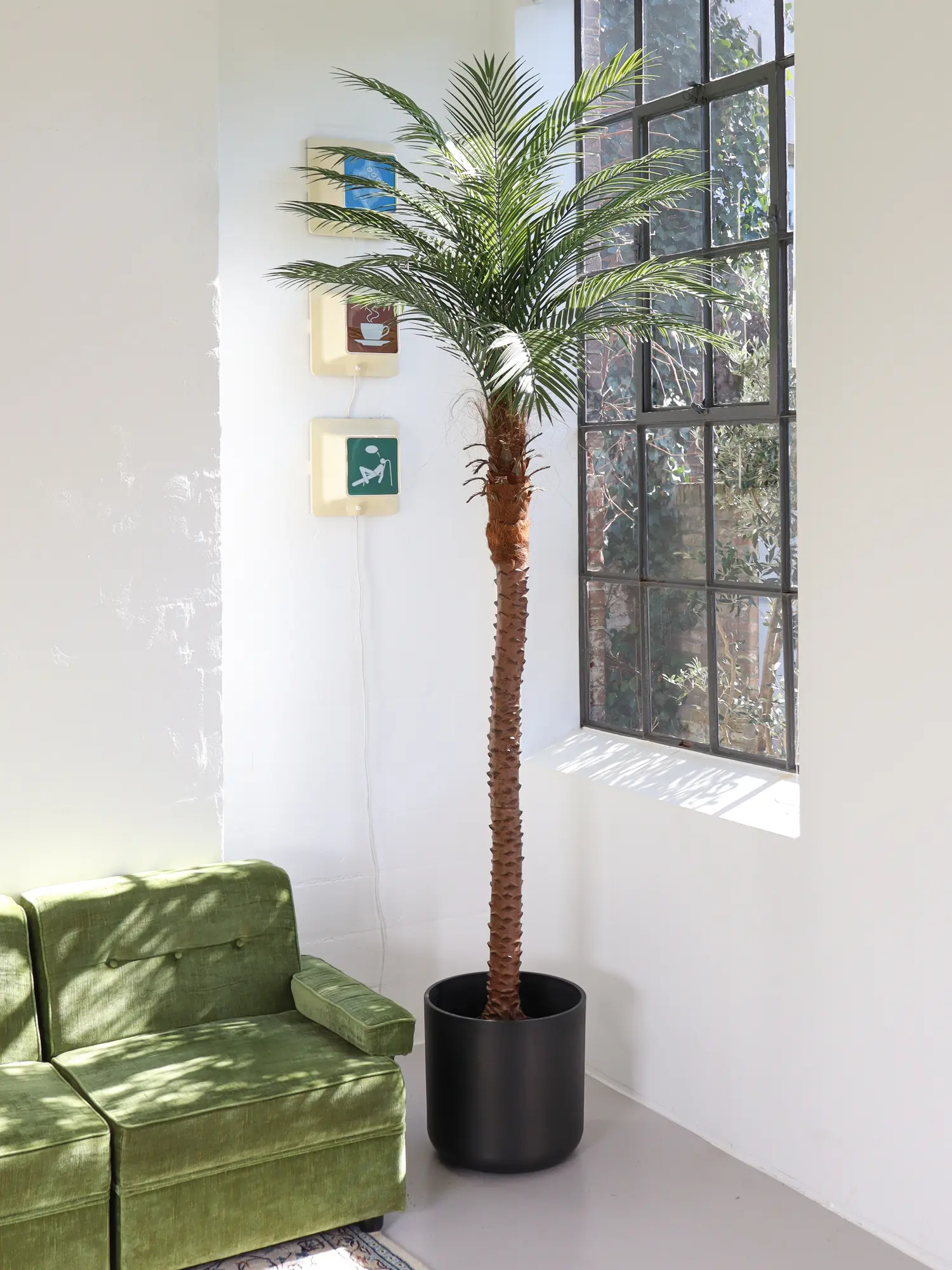 Hoge Kunstpalm Cuba 260cm – perfect voor horeca, kantoren en thuis.