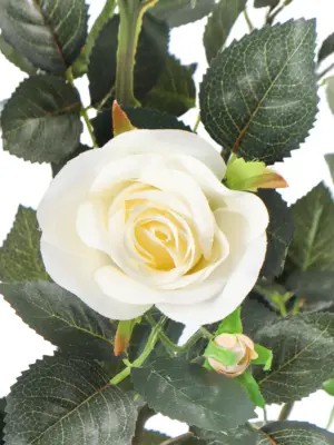 Levensechte kunststruik met romantische witte rozen van 120cm