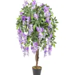 Compacte Paarse Kiruna van 120cm