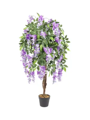 Compacte Paarse Kiruna van 120cm