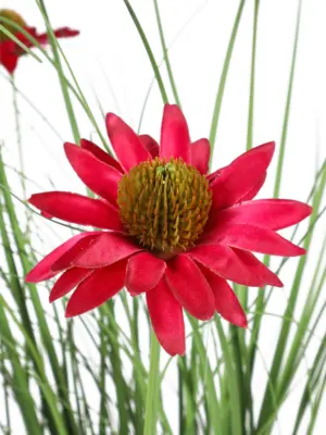 Volle kunstgrasplant met roze Echinacea bloemen