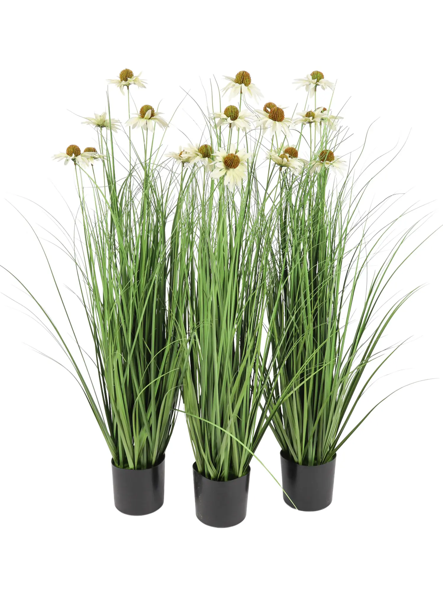 Nepgrasplant met bloemen margrietvormig 95cm.