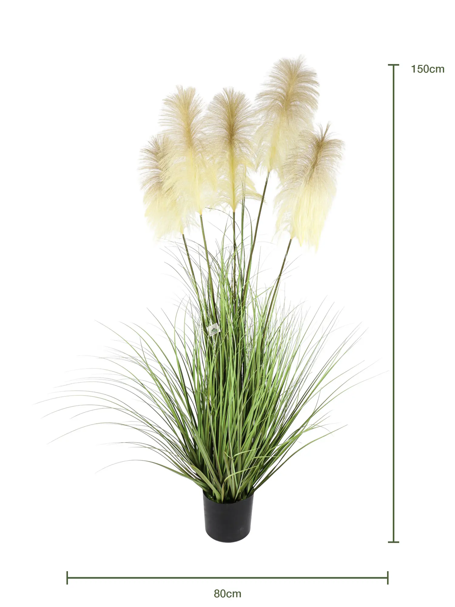 Decoratieve nep Pampasgrasplant met pluimen en groene bos