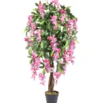 Compacte Roze Kiruna van 120cm