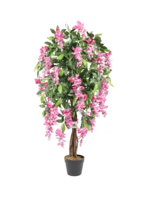 Compacte Roze Kiruna van 120cm