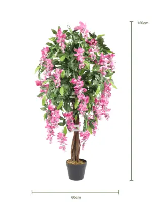 Compacte Roze Kiruna van 120cm