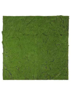 Kunstmoswand Donkergroen 100x100cm flexibel nepmos
