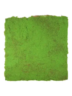 Kunstmoswand Lichtgroen 100x100cm – lichtgroene nepmos mat