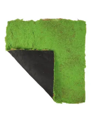 Flexibele moswand lichtgroen – 1m² imitatie mos