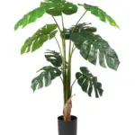 Monstera Nepplant 130cm met grote bladeren