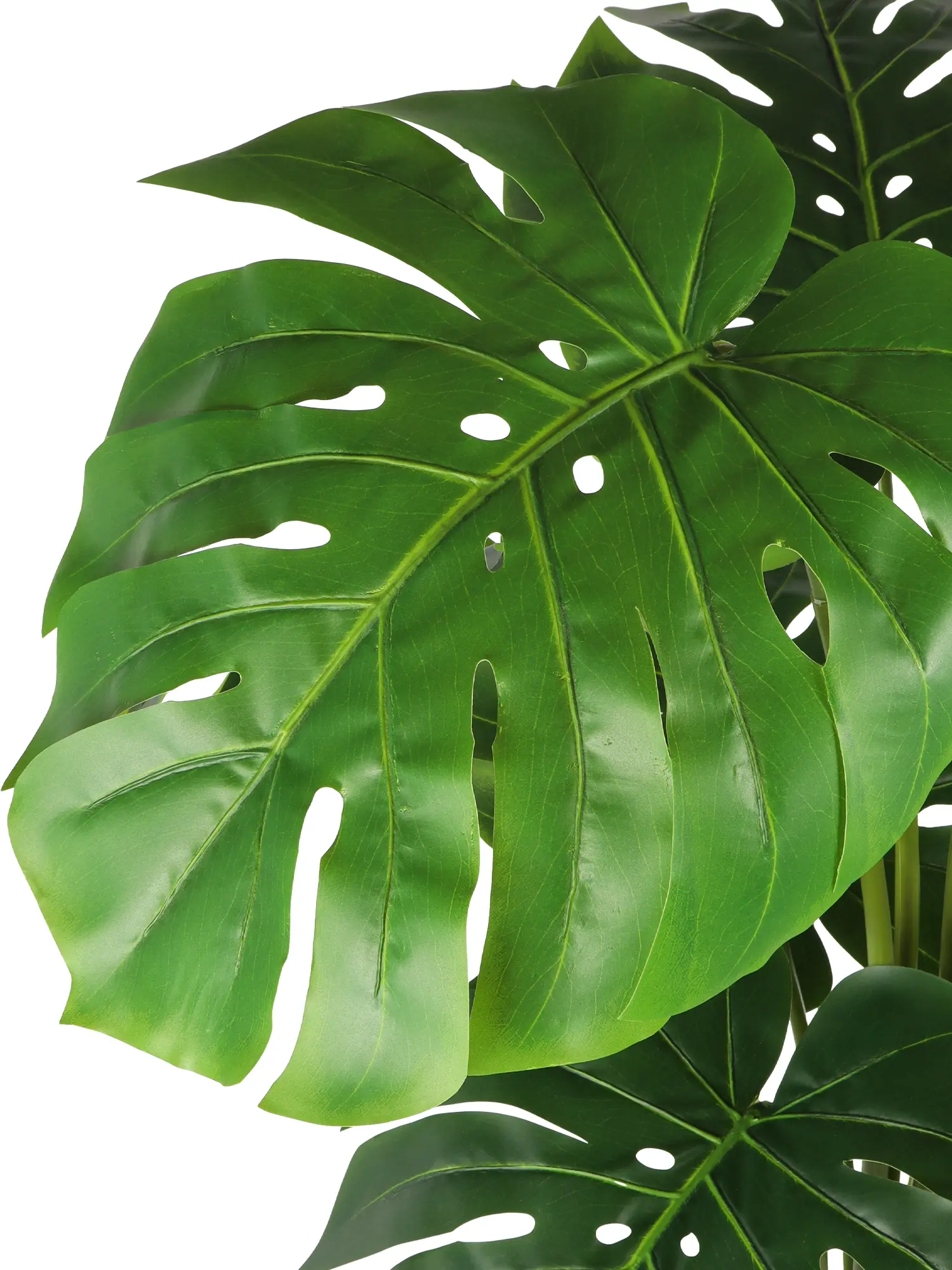 Tropische kunst Monstera plant van 150cm hoog