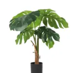 Monstera Nepplant 85cm met volle bladkruin