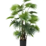 Realistische nep waaierpalm 150 cm – Kunstpalm.nl