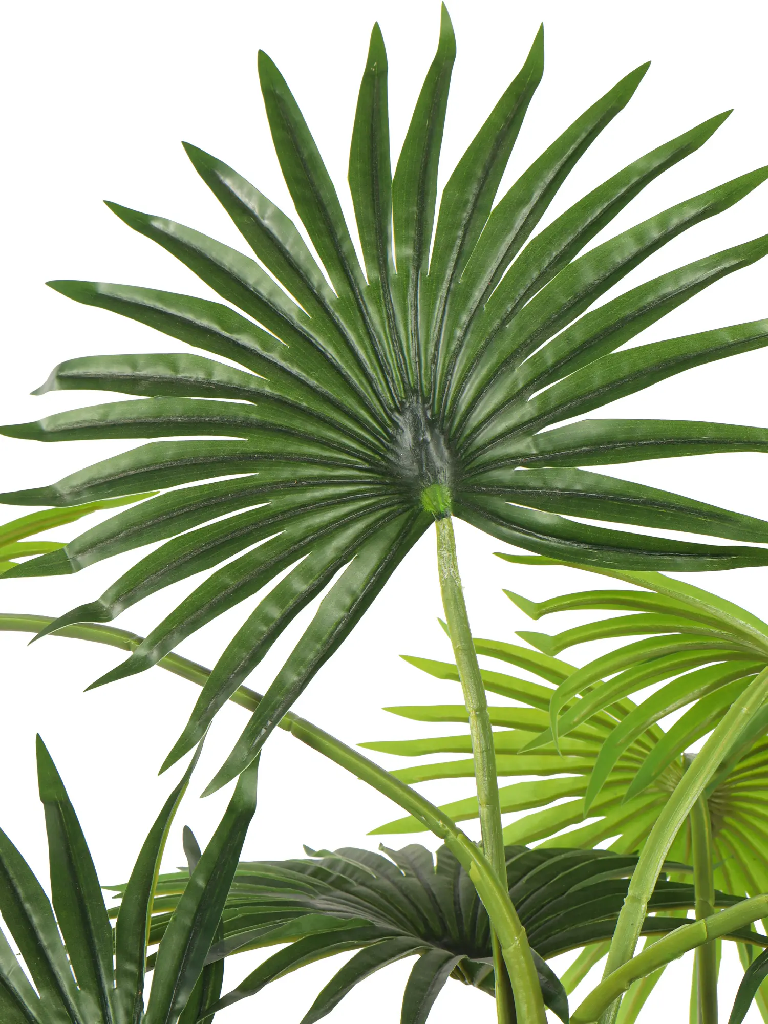 kunstpalm met waaierbladeren en natuurlijke afwerking