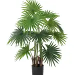 Kleine kunst waaierpalm met 15 bladeren in zwarte pot