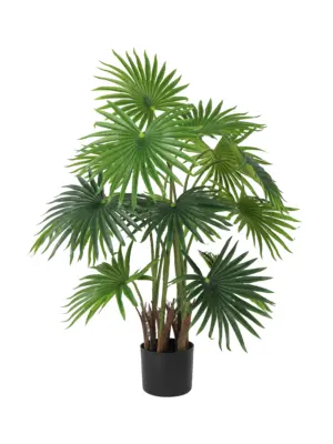 Kleine kunst waaierpalm met 15 bladeren in zwarte pot