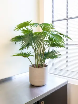 Waaierblad Neppalm van 90cm van Kunstpalm.nl