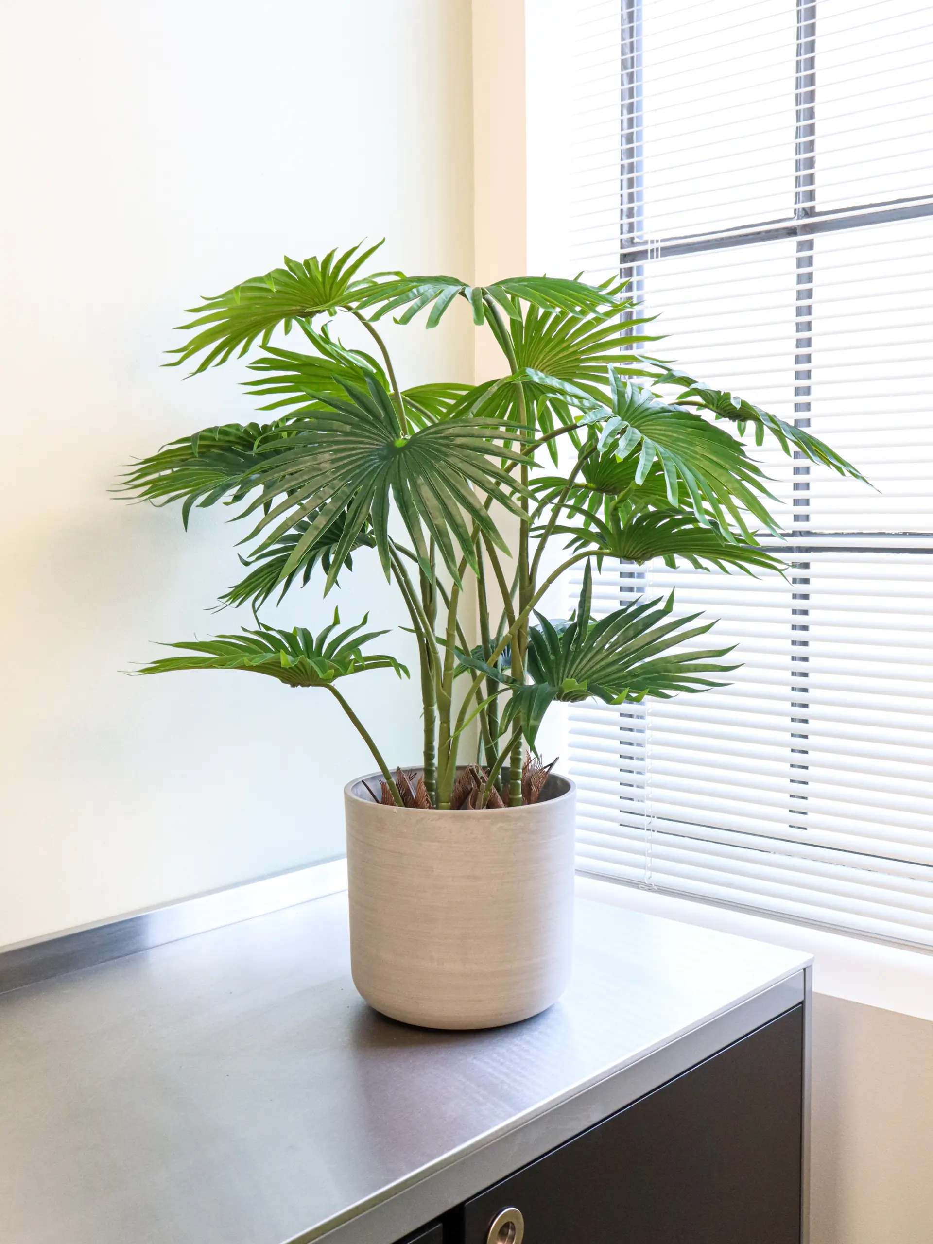 Waaierblad Neppalm van 90cm van Kunstpalm.nl