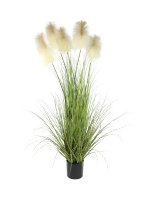 Kunst Pampasgras 185cm met vijf grote pluimen in zwarte pot