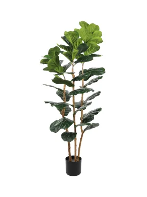 Kunstficus Lyrata 150cm met grote realistische bladeren