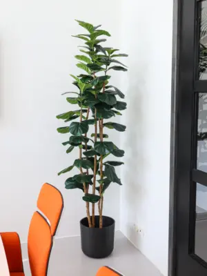 Kunstficus Lyrata 210cm van Kunstpalm.nl