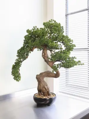 Levensechte Kunigami kunstbonsai 70 cm met dikke bonsaistam en naaldbundeltjes