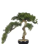 Kunst bonsai boom Oshikawa 60 cm – sierlijke Japanse miniatuurboom voor een zen en decoratief interieur.