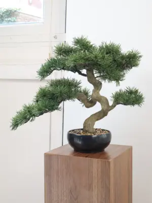 Kunst bonsaiboom Higashi van 40 cm – decoratieve Japanse miniatuurboom voor een idyllisch interieur.
