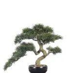 Kunst bonsaiboom Higashi van 40 cm – decoratieve Japanse miniatuurboom voor een idyllisch interieur.