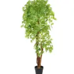 Kunst Esdoorn Groen 175cm kunstboom kopen bij Kunstpalm.nl