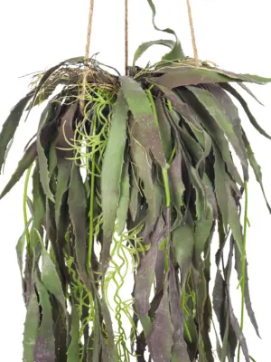 Nep hangplant Ramulosa cactus vetplant – onderhoudsvrije kunsthangplant | Kunstpalm.nl