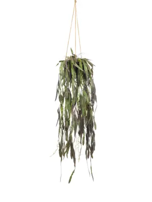 Kunst Hangplant Ramulosa 75cm – levensechte cactus vetplant | Kunstpalm.nl