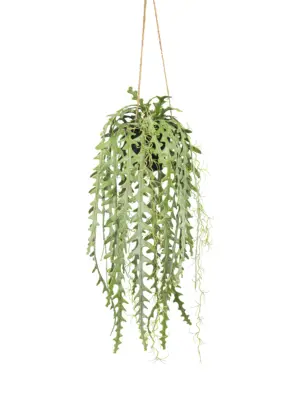 Kunst Zaagcactus hangplant 65 cm – levensechte kunst hangplanten | Kunstpalm.nl
