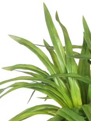 Hangende kunstplant Graslelie groen – decoratieve kunst hangplant 70 cm | Kunstpalm.nl
