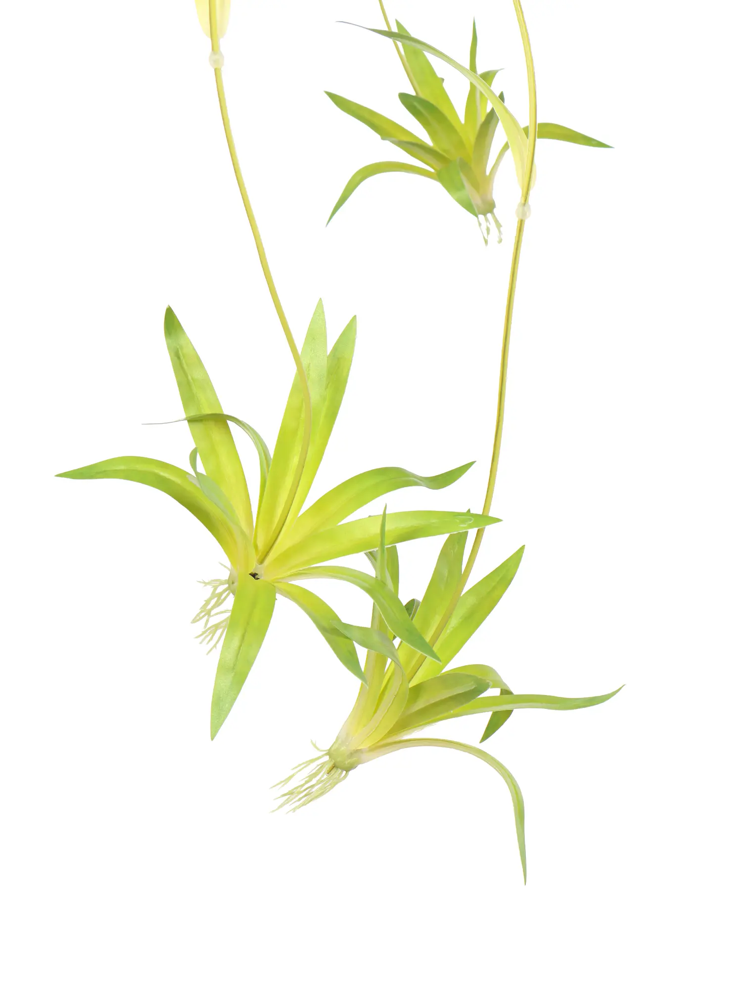 Nep hangplant Graslelie 70 cm – onderhoudsvrije kunstplanten hangend | Kunstpalm.nl