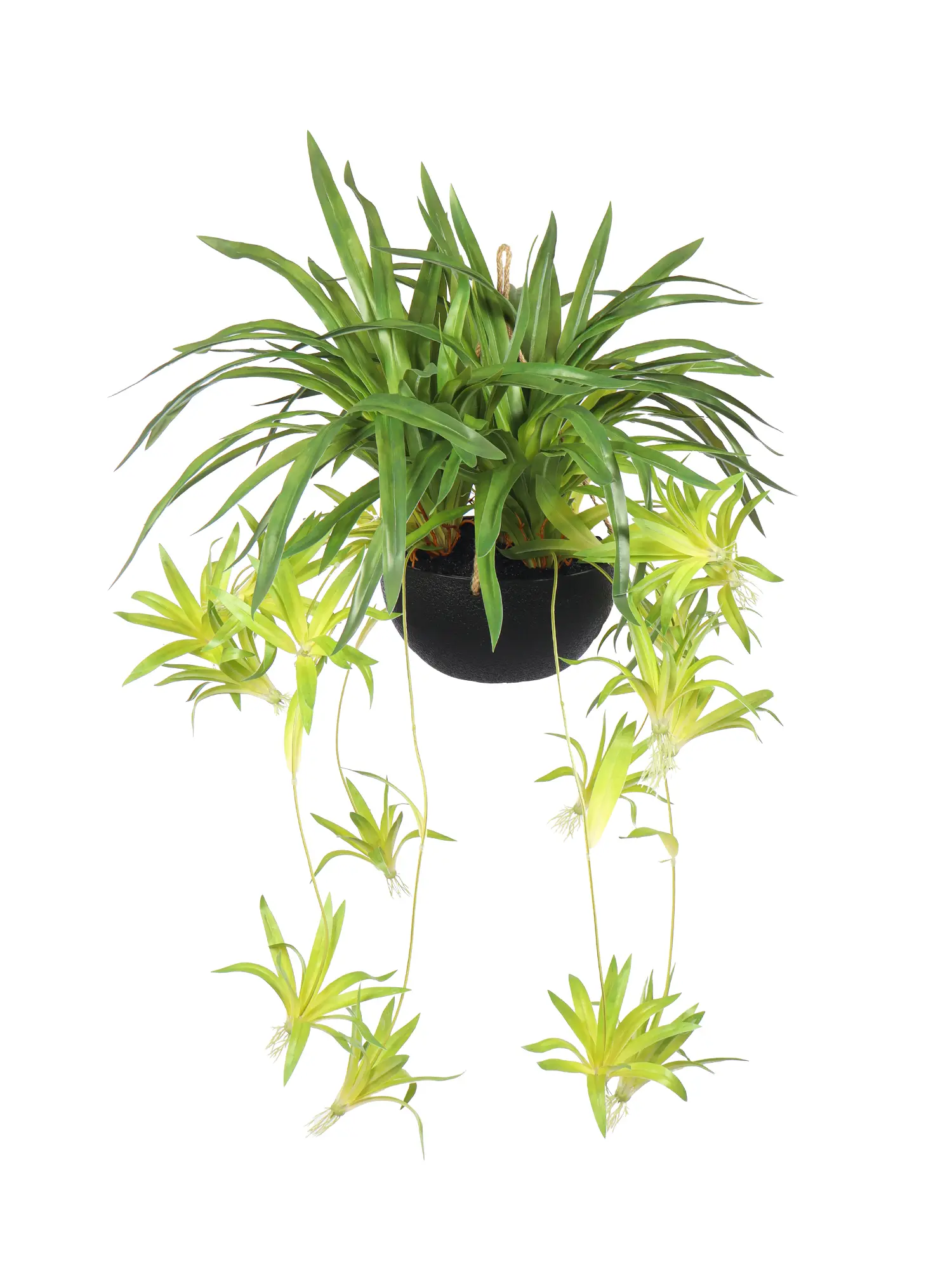 Kunsthangplant Graslelie Groen 70cm kopen | Kunstpalm.nl
