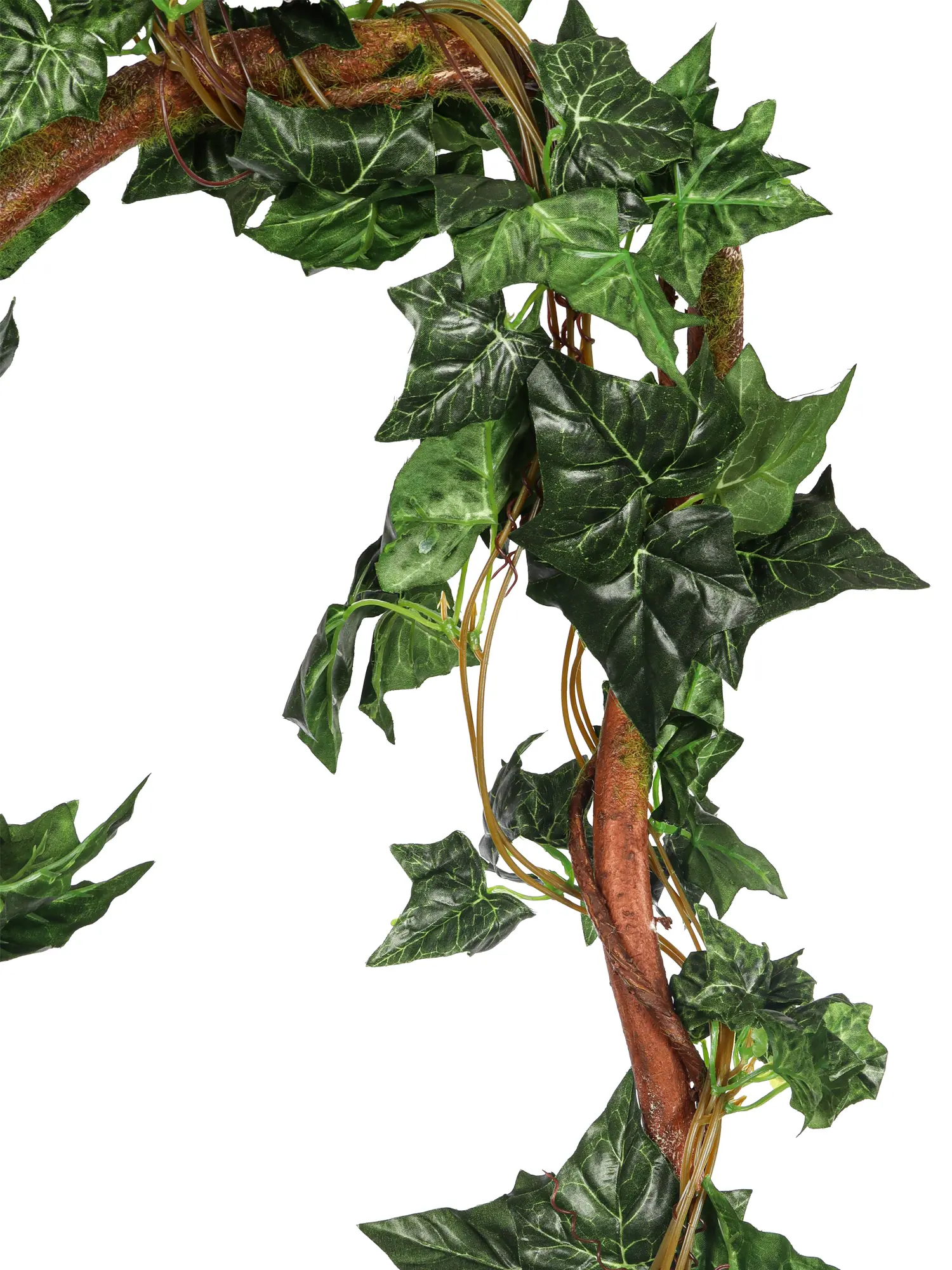 Kunstliaan extra lang van Kunstpalm.nl