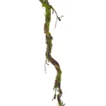 Namaak Liaan 140cm flexibel kunstmos – Kunstpalm.nl