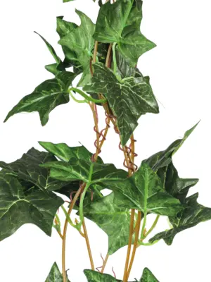 Realistische kunstklimop – Hedera Slinger Extra Lang 275cm – Kunstpalm.nl