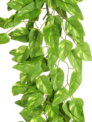 Kunst Scindapsus Bundel 100cm – realistische bladeren en natuurlijke kleuren – Kunstpalm.nl