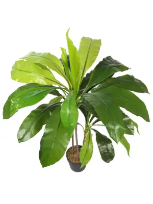 Dracaena kunstplant groen 110cm met drie stammen, lange bladeren en een opgerold nieuw blad