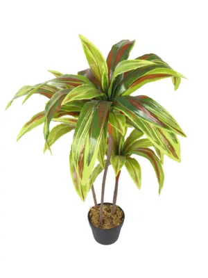 Dracenae kunstplant kleurrijk 100cm met drie stammen