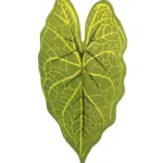 Kunst Caladiumblad Bicolor groen met gele nerven op steel.