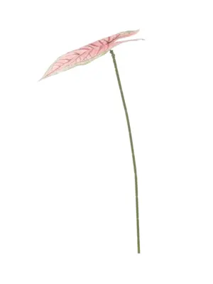 Kunst Caladiumblad Spring met roze blad, lichtgroene rand en donkerroze nerf op steel.
