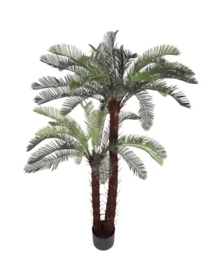 Kunst Cycaspalm Lombok 160cm met twee donkere stammen en donkergroene bladeren