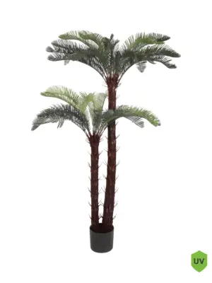 Kunst Cycaspalm Lombok 160cm met twee donkere stammen en donkergroene bladeren