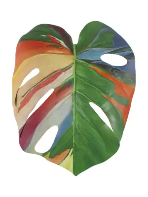 Kunst Monsterablad Multicolor met 6 tot 7 kleuren, inclusief oranje, roze, rood, blauw, paars, crème en groen.