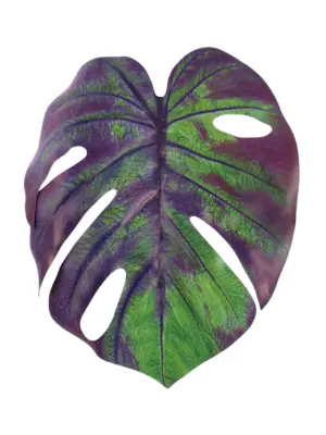 Kunst Monsterablad Paars Groen met paars blad en groene accenten op steel.